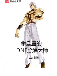 《拳皇里的dnf分解大师》