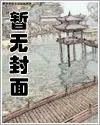 入门赘婿林阳全文完结版