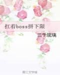 扛着boss去打怪